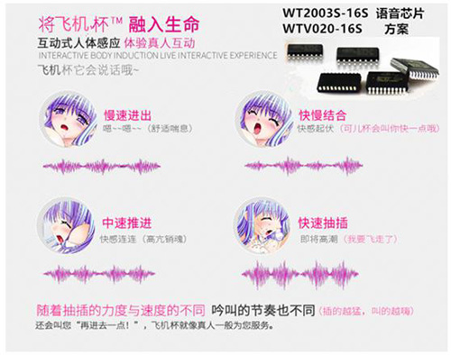 飛機(jī)杯語(yǔ)音IC,成人用品語(yǔ)音方案,情趣用品語(yǔ)音芯片推薦 飛機(jī)杯語(yǔ)音IC,成人用品語(yǔ)音方案,情趣用品語(yǔ)音芯片推薦